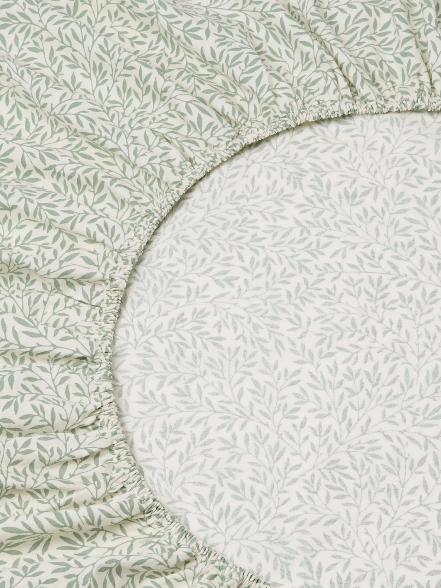 Mellow Green Standen Cotton Fitted Sheet