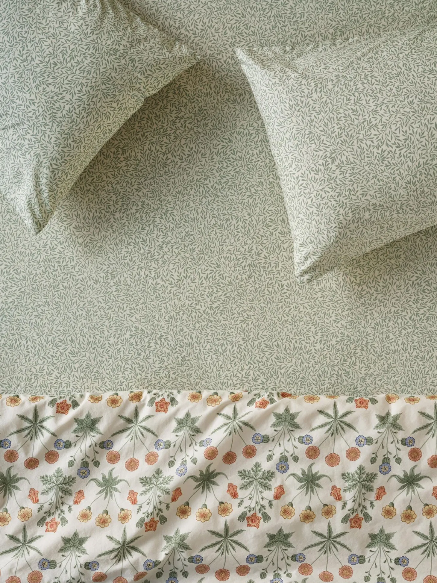 Mellow Green Standen Cotton Fitted Sheet