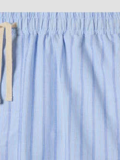 Pale Blue Favorite Shirt Stripe Cotton Pants